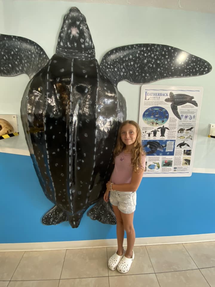 Kara Carter at Turtle Hospital in Florida Keys | Acupful.com