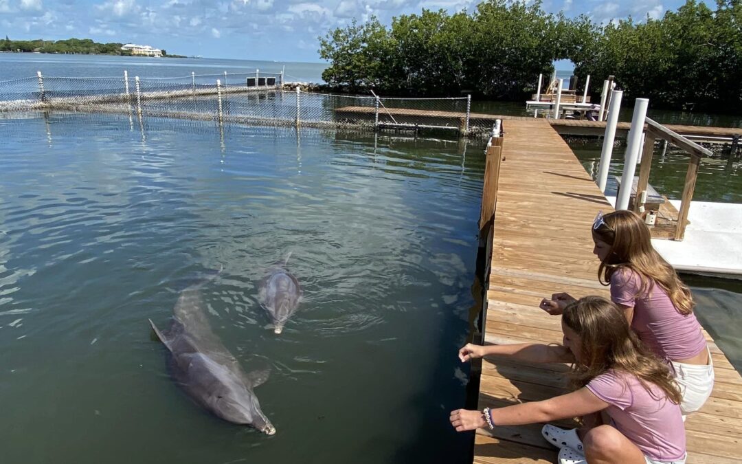 Teaching kids peaceful coexistence with nature through unique vacation experiences