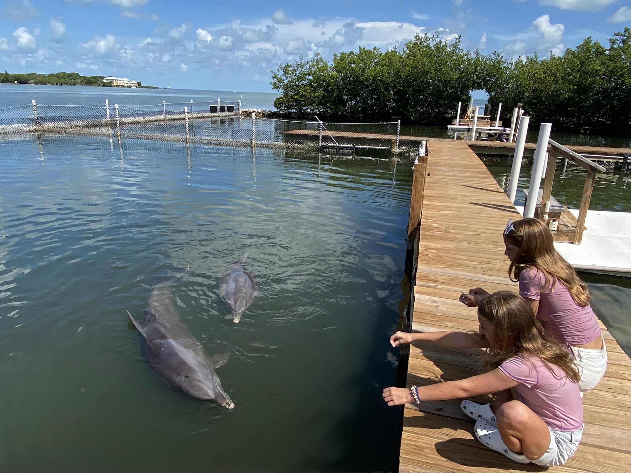 Mandy Carter at Dolphin Research Center in Florida Keys | Acupful.com